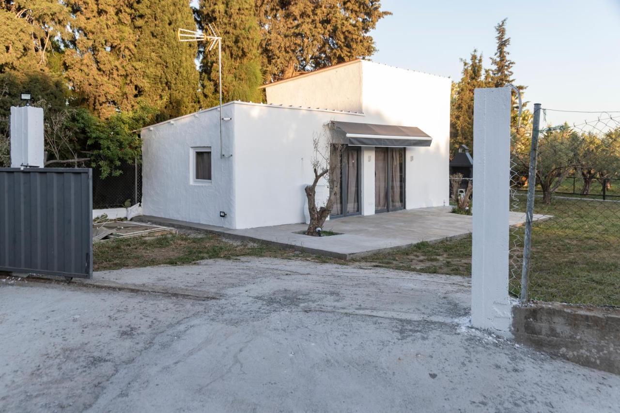 Olive View Loft Holiday home *