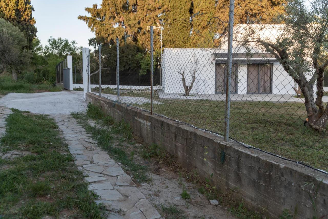 Holiday home Olive View Loft Dikella